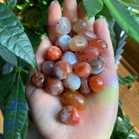 Sardonyx Tumbled Stone | Tumbled Stone | Intuitively Selected (random) | Onyx & Carnelian Stone