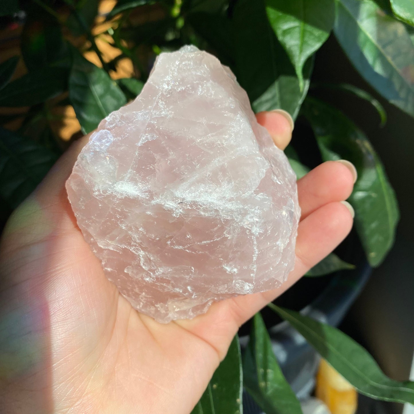 Rough Rose Quartz | 12.5 oz | 3.6”  | Rough Stone | Palm Size Stone | R3
