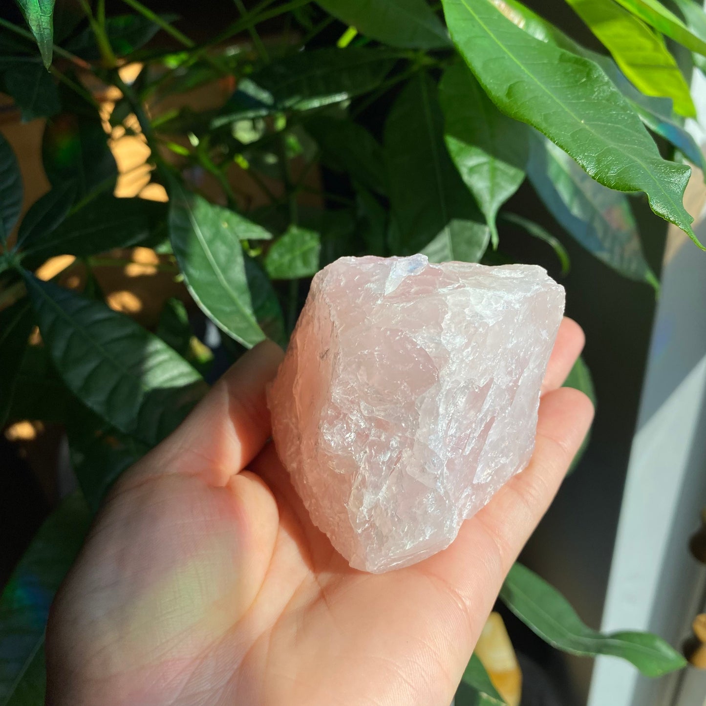 Rough Rose Quartz | 12.5 oz | 3.6”  | Rough Stone | Palm Size Stone | R3