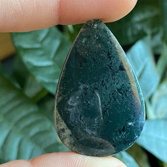 Tree Agate Cabochon | Tear Shaped Stone | Dendritic Agate | Cabochon | For Wire Wrapping | For Jewelry Making | Teardrop Shape | TS2