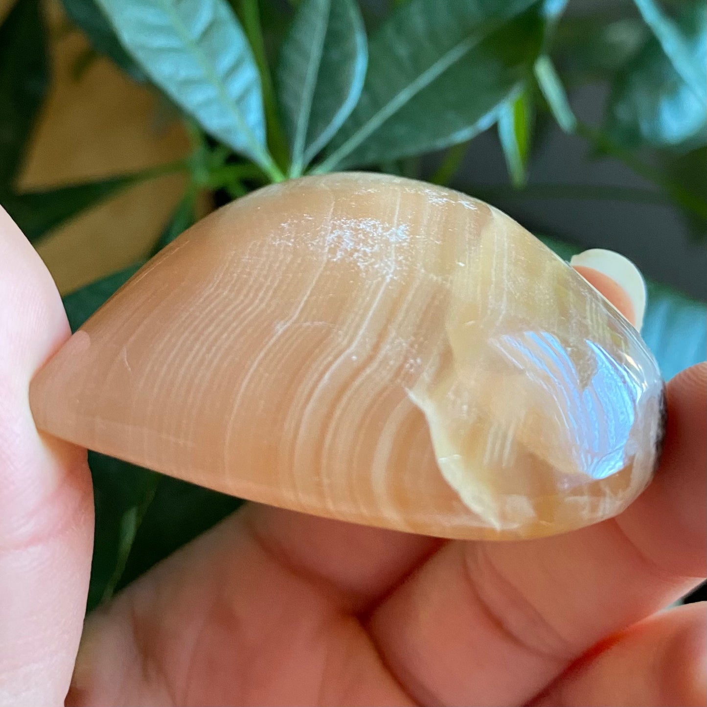Honey Calcite Heart | 2.5 oz | 2" | Heart Carving | Crystal Carving | Calcite | HCH3