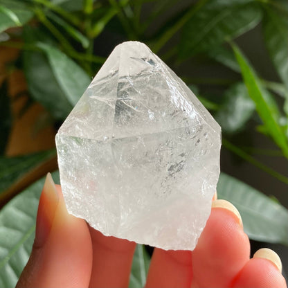 Natural Clear Quartz Point | 2 oz | 2”  | Clear Quartz | Top Polished Point | QP2
