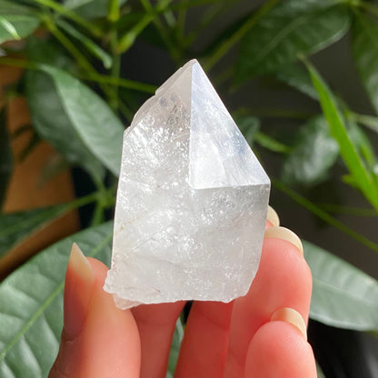 Natural Clear Quartz Point | 2 oz | 2”  | Clear Quartz | Top Polished Point | QP2
