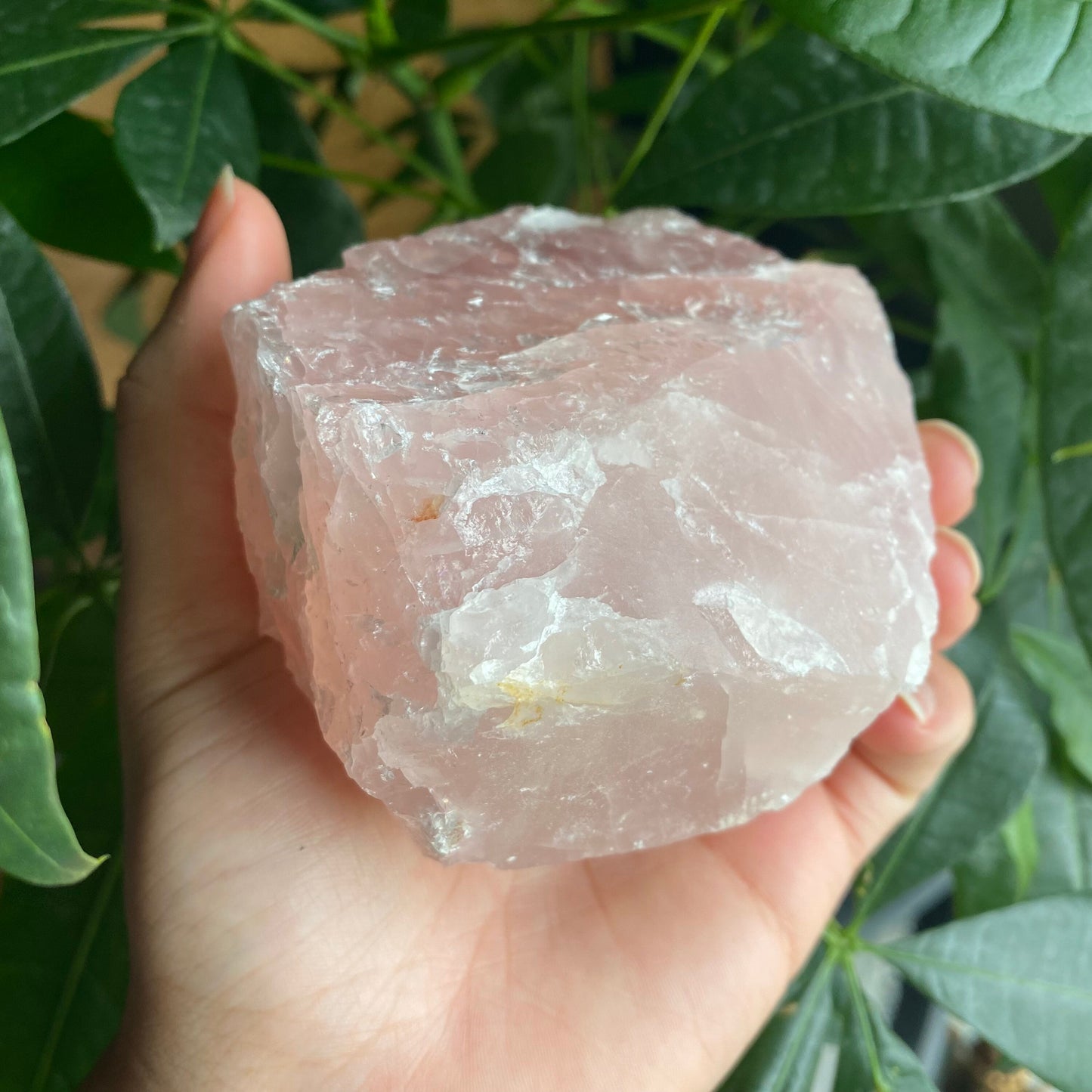 Rough Rose Quartz | 17.9 oz | 3.7”  | Rough Stone | Palm Size Stone | R2