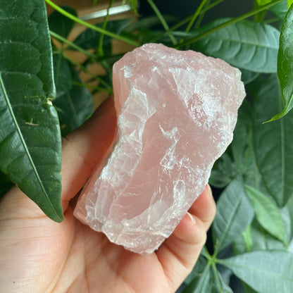 Rough Rose Quartz | 17.9 oz | 3.7”  | Rough Stone | Palm Size Stone | R2