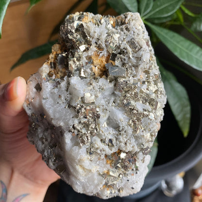 Pyrite on Quartz Matrix Specimen | 2 lb 5.2 oz | 5" | Pyrite | Mineral Specimen | Fools Gold | Attract Abundance | Pyrite Specimen