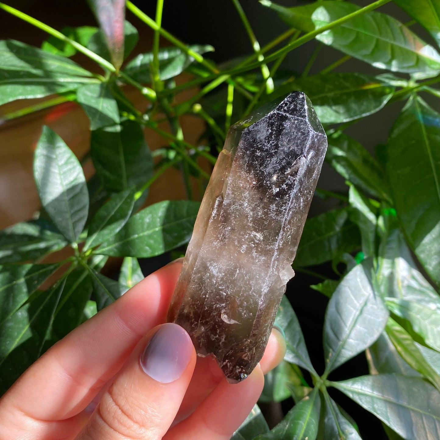 Smoky Quartz Point | 3 oz | 3.4 in | Crystal Point