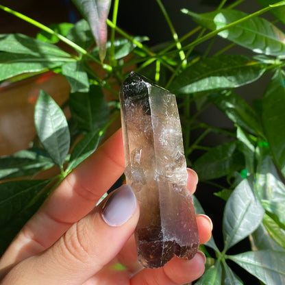 Smoky Quartz Point | 3 oz | 3.4 in | Crystal Point