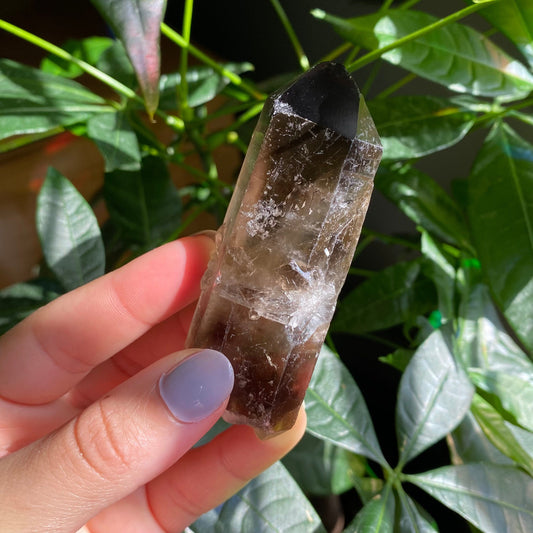 Smoky Quartz Point | 3 oz | 3.4 in | Crystal Point