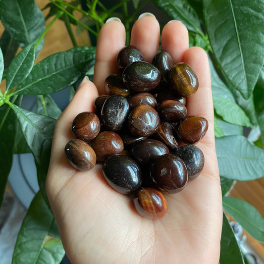 Mini Red Tigers Eye Tumbled Stone | Tumbled Stone | Intuitively Selected (random)