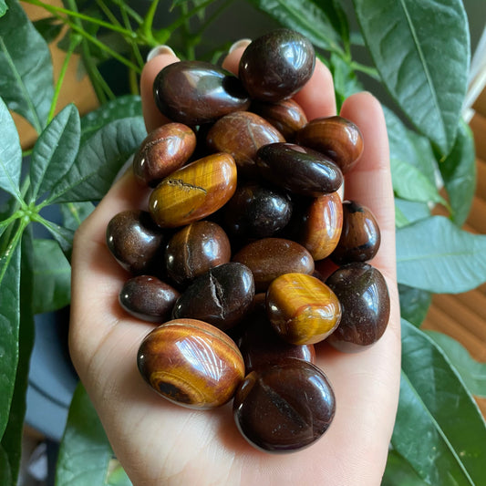 Red Tigers Eye Tumbled Stone | Tumbled Stone | Intuitively Selected (random)