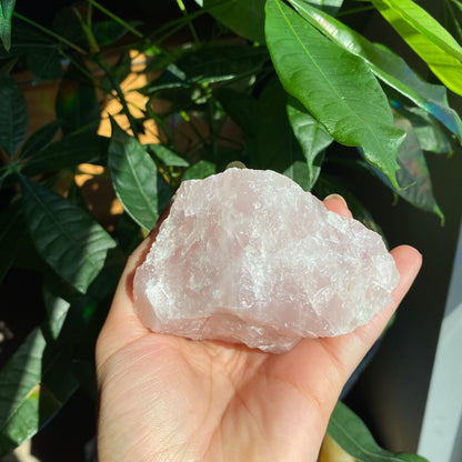 Rough Rose Quartz | 12.5 oz | 3.6”  | Rough Stone | Palm Size Stone | R3
