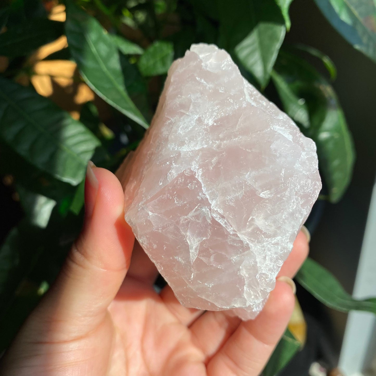 Rough Rose Quartz | 12.5 oz | 3.6”  | Rough Stone | Palm Size Stone | R3
