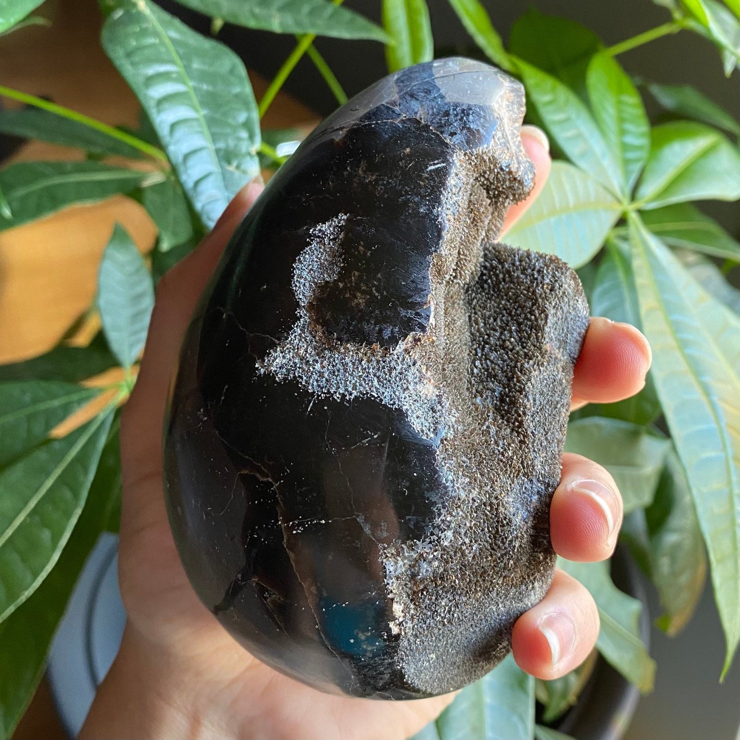 Septarian Geode Egg w/ Druzy | 1 lb 13.9 oz | 4.7" | Dragon Stone | Septarian Dragon Egg | Crystal Geode