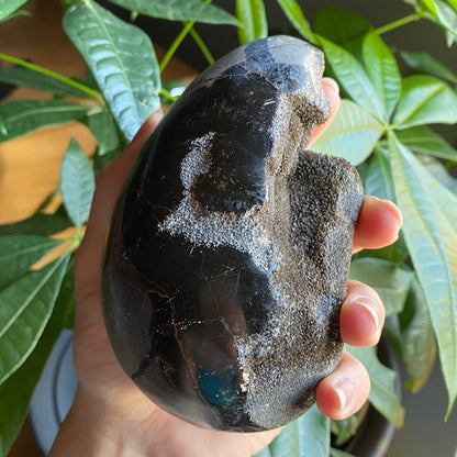 Septarian Geode Egg w/ Druzy | 1 lb 13.9 oz | 4.7" | Dragon Stone | Septarian Dragon Egg | Crystal Geode