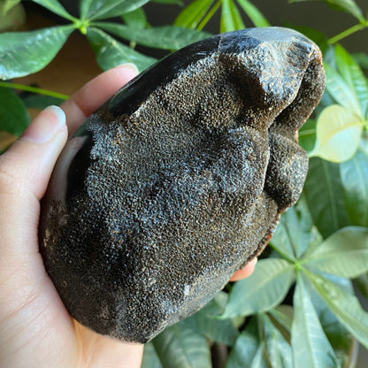 Septarian Geode Egg w/ Druzy | 1 lb 13.9 oz | 4.7" | Dragon Stone | Septarian Dragon Egg | Crystal Geode