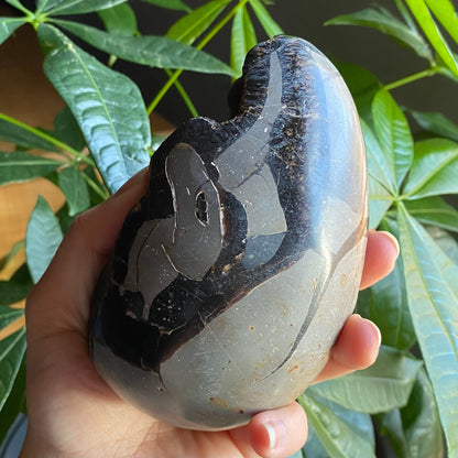 Septarian Geode Egg w/ Druzy | 1 lb 13.9 oz | 4.7" | Dragon Stone | Septarian Dragon Egg | Crystal Geode