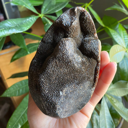 Septarian Geode Egg w/ Druzy | 1 lb 13.9 oz | 4.7" | Dragon Stone | Septarian Dragon Egg | Crystal Geode