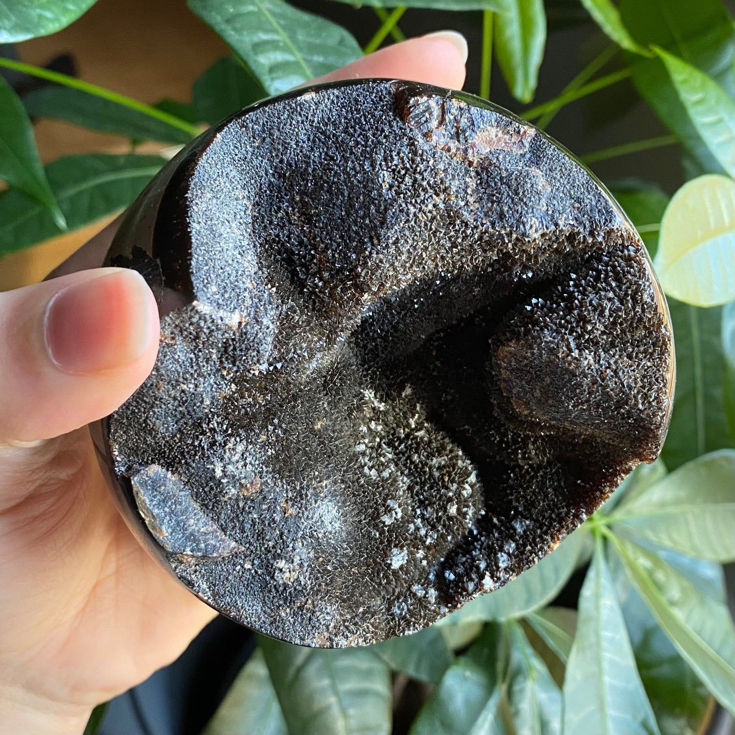 Septarian Geode Egg w/ Druzy | 1 lb 8.6 oz | 3.6" | Dragon Stone | Septarian Dragon Egg | Crystal Geode