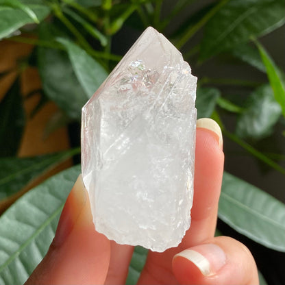 Natural Clear Quartz Point | 2 oz | 2”  | Clear Quartz | Top Polished Point | QP2