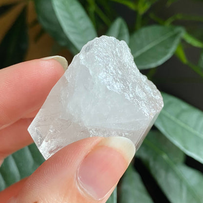 Natural Clear Quartz Point | 2 oz | 2”  | Clear Quartz | Top Polished Point | QP2