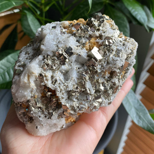 Pyrite on Quartz Matrix Specimen | 2 lb 5.2 oz | 5" | Pyrite | Mineral Specimen | Fools Gold | Attract Abundance | Pyrite Specimen