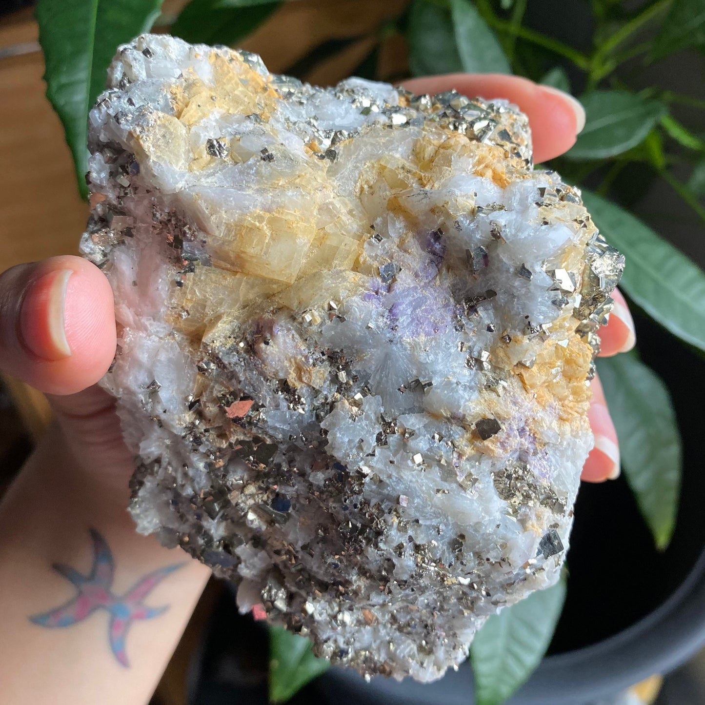 Pyrite on Quartz Matrix Specimen | 2 lb 5.2 oz | 5" | Pyrite | Mineral Specimen | Fools Gold | Attract Abundance | Pyrite Specimen