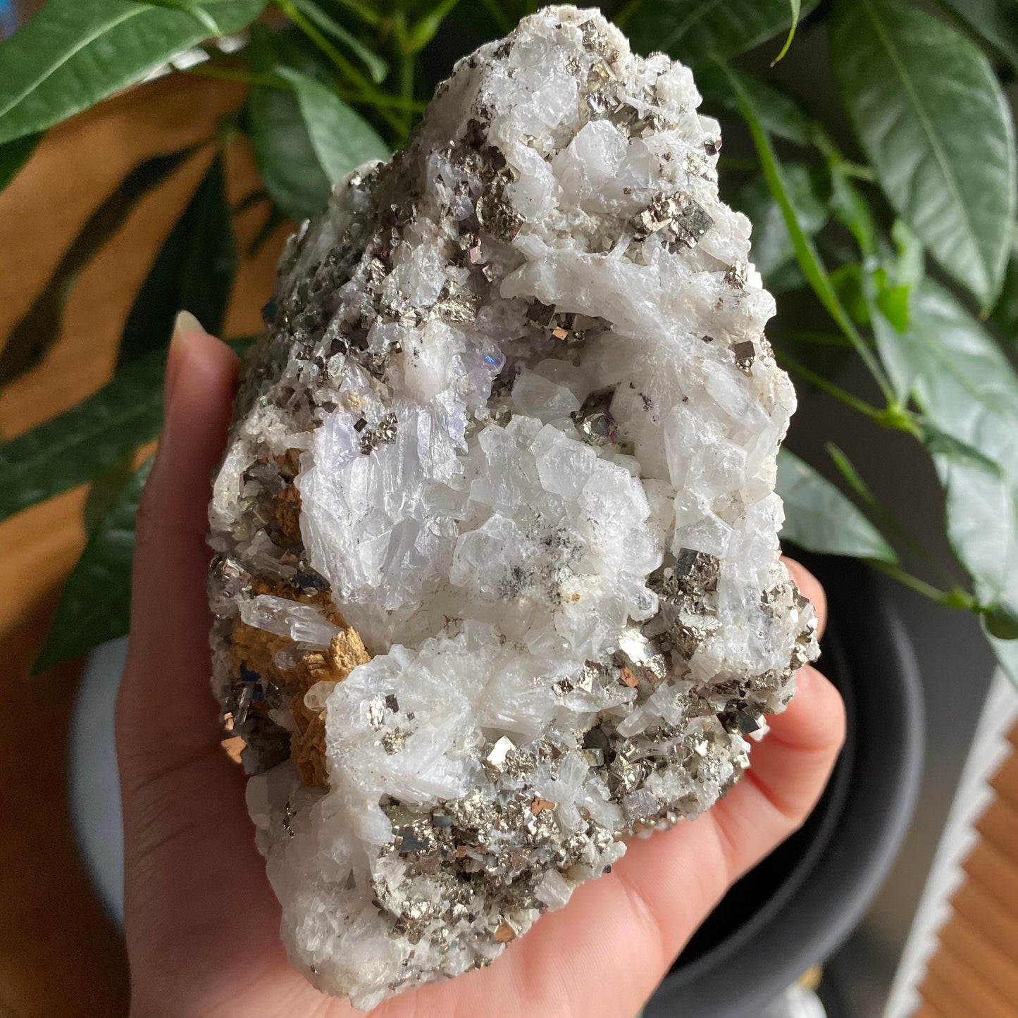 Pyrite on Quartz Matrix Specimen | 2 lb 5.2 oz | 5" | Pyrite | Mineral Specimen | Fools Gold | Attract Abundance | Pyrite Specimen