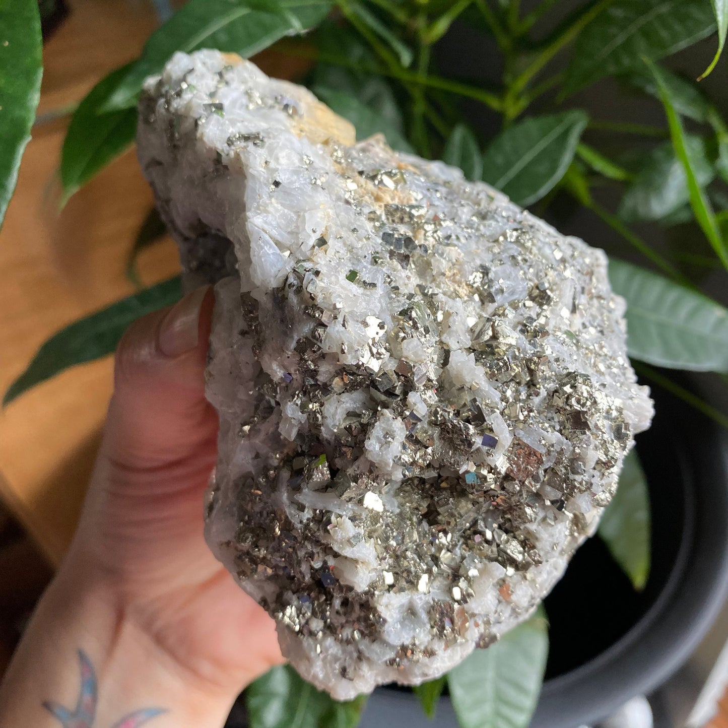 Pyrite on Quartz Matrix Specimen | 2 lb 5.2 oz | 5" | Pyrite | Mineral Specimen | Fools Gold | Attract Abundance | Pyrite Specimen