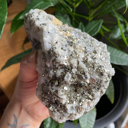 Pyrite on Quartz Matrix Specimen | 2 lb 5.2 oz | 5" | Pyrite | Mineral Specimen | Fools Gold | Attract Abundance | Pyrite Specimen