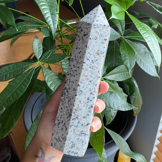 Kiwi Jasper Tower | 2 lb 4.1 oz | 8.25" | Crystal Tower | Large Tower | Jasper Tower