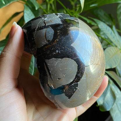 Septarian Geode Egg w/ Druzy | 1 lb 8.6 oz | 3.6" | Dragon Stone | Septarian Dragon Egg | Crystal Geode