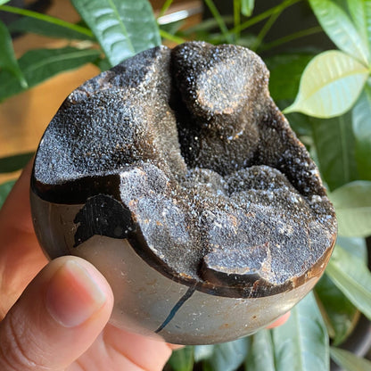 Septarian Geode Egg w/ Druzy | 1 lb 8.6 oz | 3.6" | Dragon Stone | Septarian Dragon Egg | Crystal Geode