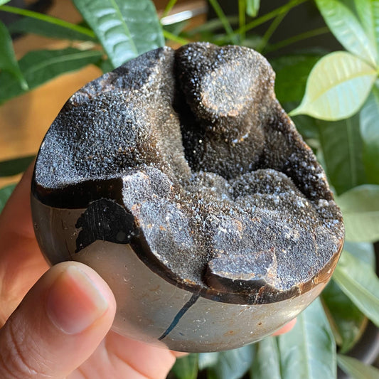 Septarian Geode Egg w/ Druzy | 1 lb 8.6 oz | 3.6" | Dragon Stone | Septarian Dragon Egg | Crystal Geode