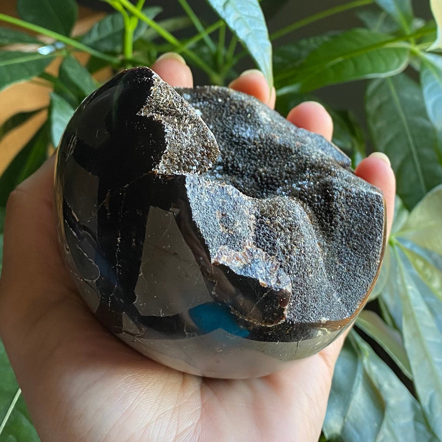 Septarian Geode Egg w/ Druzy | 1 lb 8.6 oz | 3.6" | Dragon Stone | Septarian Dragon Egg | Crystal Geode