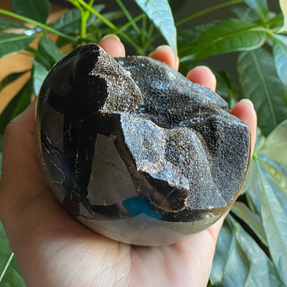Septarian Geode Egg w/ Druzy | 1 lb 8.6 oz | 3.6" | Dragon Stone | Septarian Dragon Egg | Crystal Geode