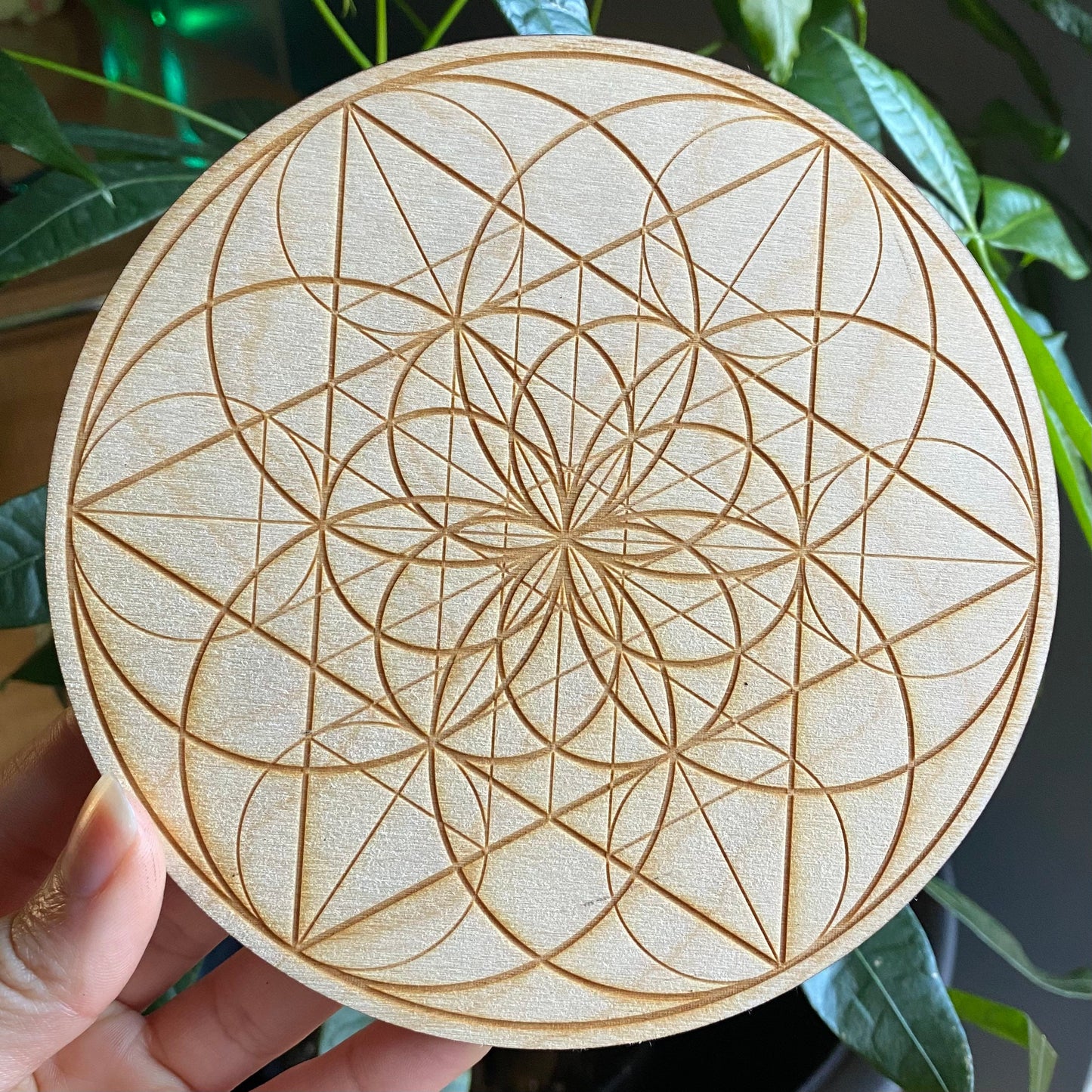 Seed of Life Crystal Grid | 6" | Wooden Crystal Grid | Sacred Geometry | Altar Tools | Meditation Tools