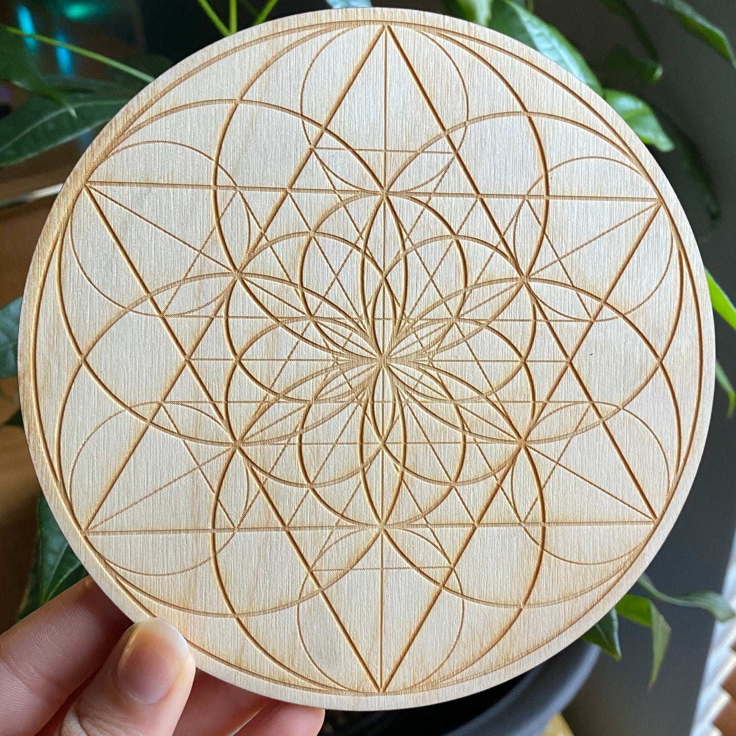 Seed of Life Crystal Grid | 6" | Wooden Crystal Grid | Sacred Geometry | Altar Tools | Meditation Tools