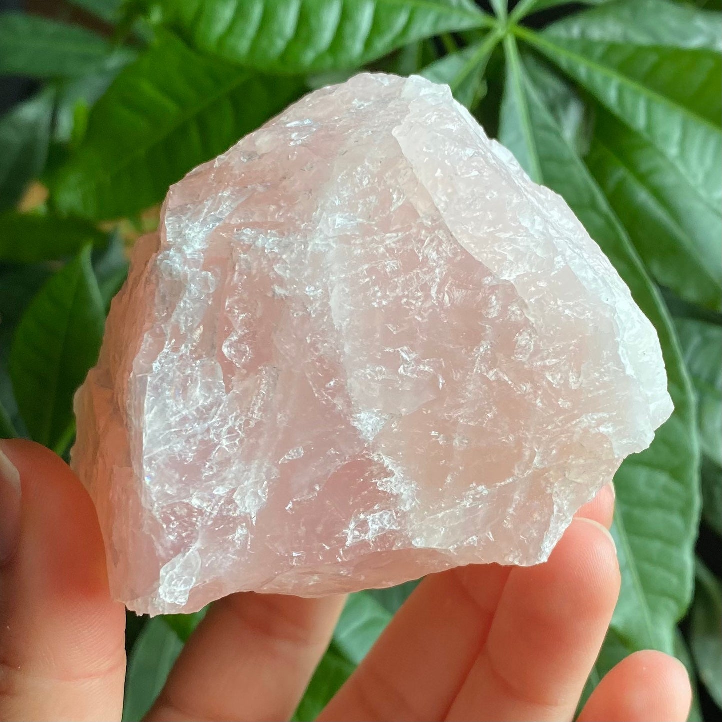 Rough Rose Quartz | 15 oz | 3.5”  | Rough Stone | Palm Size Stone | R5