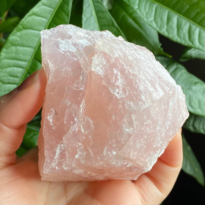 Rough Rose Quartz | 15 oz | 3.5”  | Rough Stone | Palm Size Stone | R5