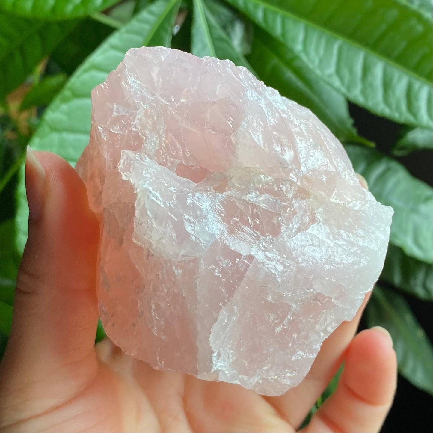 Rough Rose Quartz | 15 oz | 3.5”  | Rough Stone | Palm Size Stone | R5