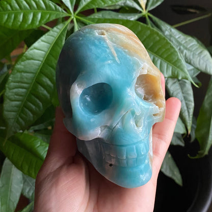 Caribbean Calcite Crystal Skull w/ druzy| 1 lb 11.6 oz | 4" | Crystal Carving