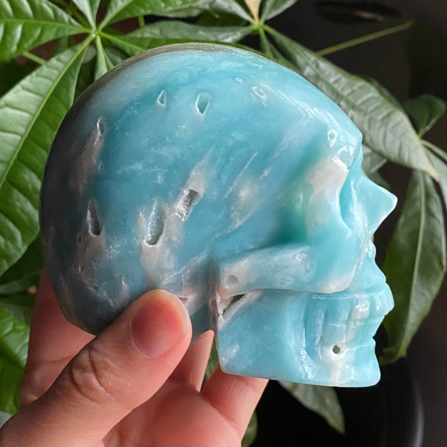 Caribbean Calcite Crystal Skull w/ druzy| 1 lb 11.6 oz | 4" | Crystal Carving