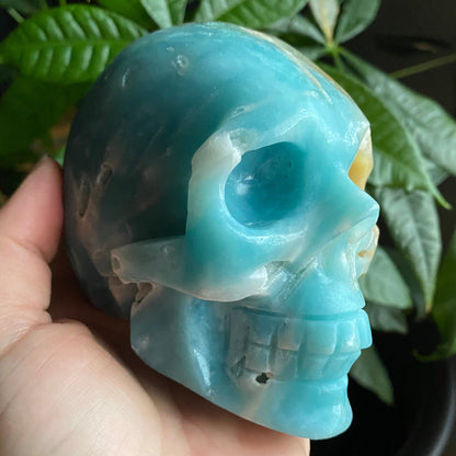 Caribbean Calcite Crystal Skull w/ druzy| 1 lb 11.6 oz | 4" | Crystal Carving