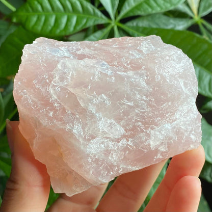 Rough Rose Quartz | 15 oz | 3.5”  | Rough Stone | Palm Size Stone | R5