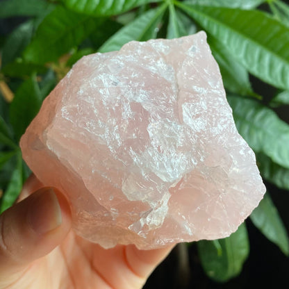 Rough Rose Quartz | 15 oz | 3.5”  | Rough Stone | Palm Size Stone | R5