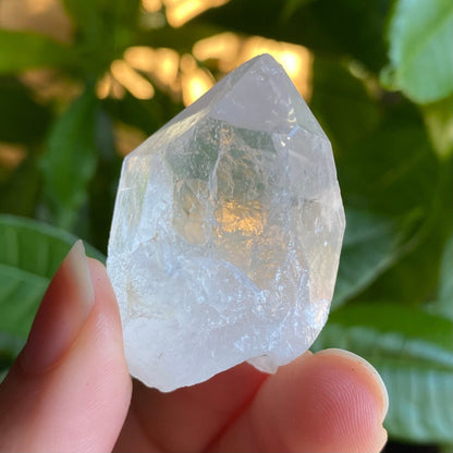 Natural Clear Quartz Point | 1 oz | 1.7”  | Clear Quartz | Top Polished Point | QP6