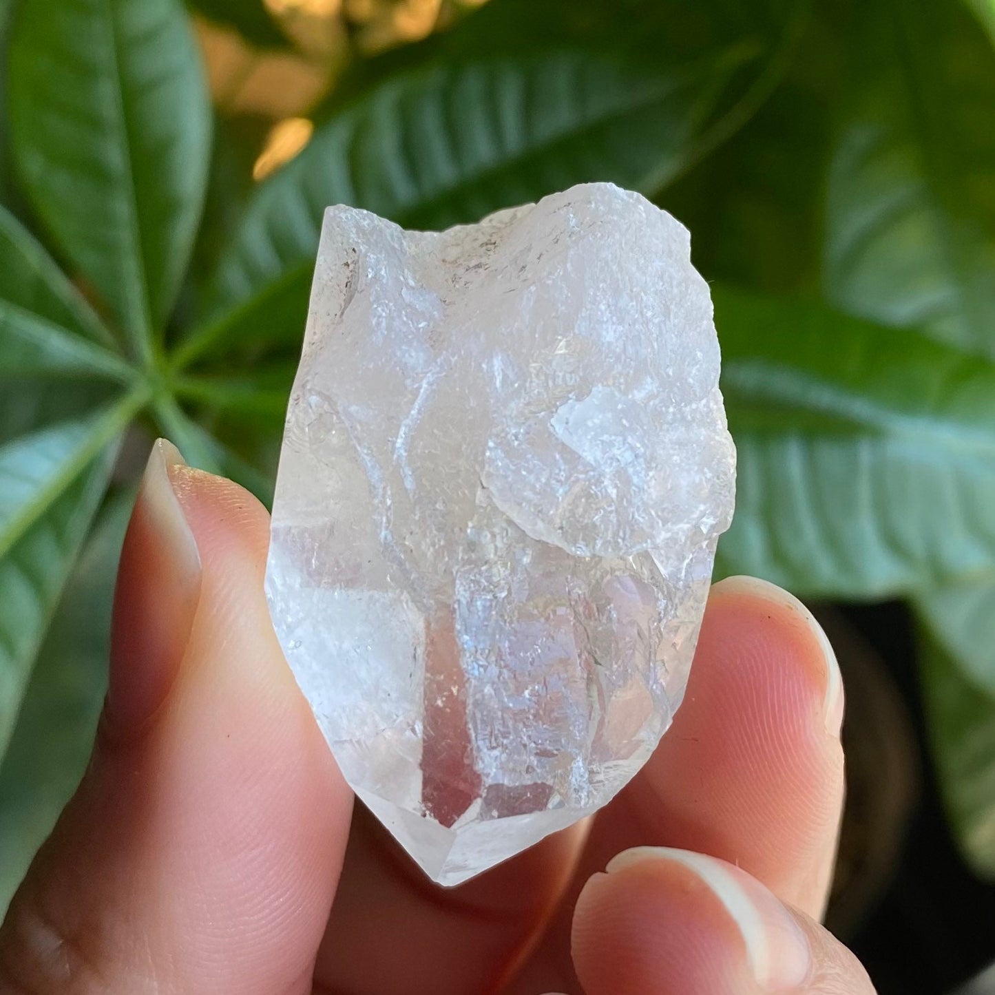 Natural Clear Quartz Point | 1 oz | 1.7”  | Clear Quartz | Top Polished Point | QP6