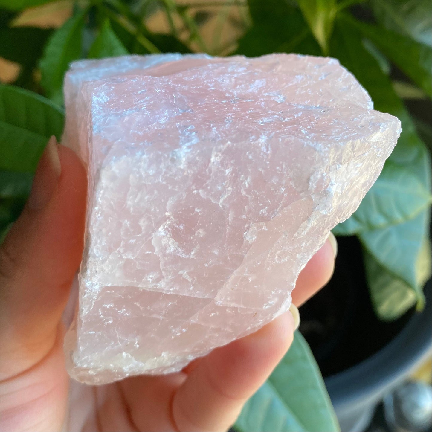 Rough Rose Quartz | 13.9 oz | 4”  | Rough Stone | Palm Size Stone | R6
