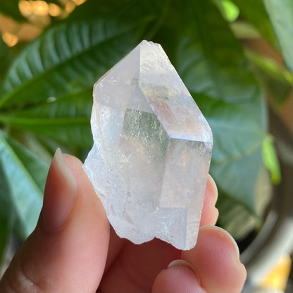 Natural Clear Quartz Point | 1 oz | 1.7”  | Clear Quartz | Top Polished Point | QP6
